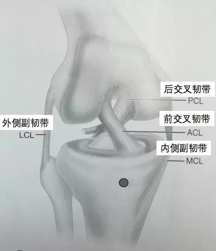 【有声影像园地】磁共振扫描在关节运动损伤诊断中的应用